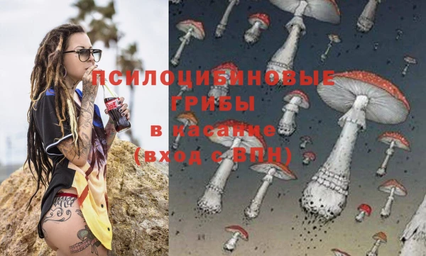 spice Заводоуковск