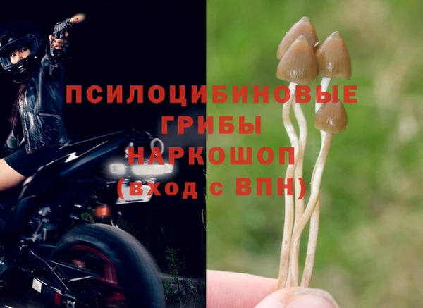 трава Заволжье