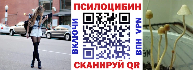 Галлюциногенные грибы прущие грибы  Купить где  Карабулак 